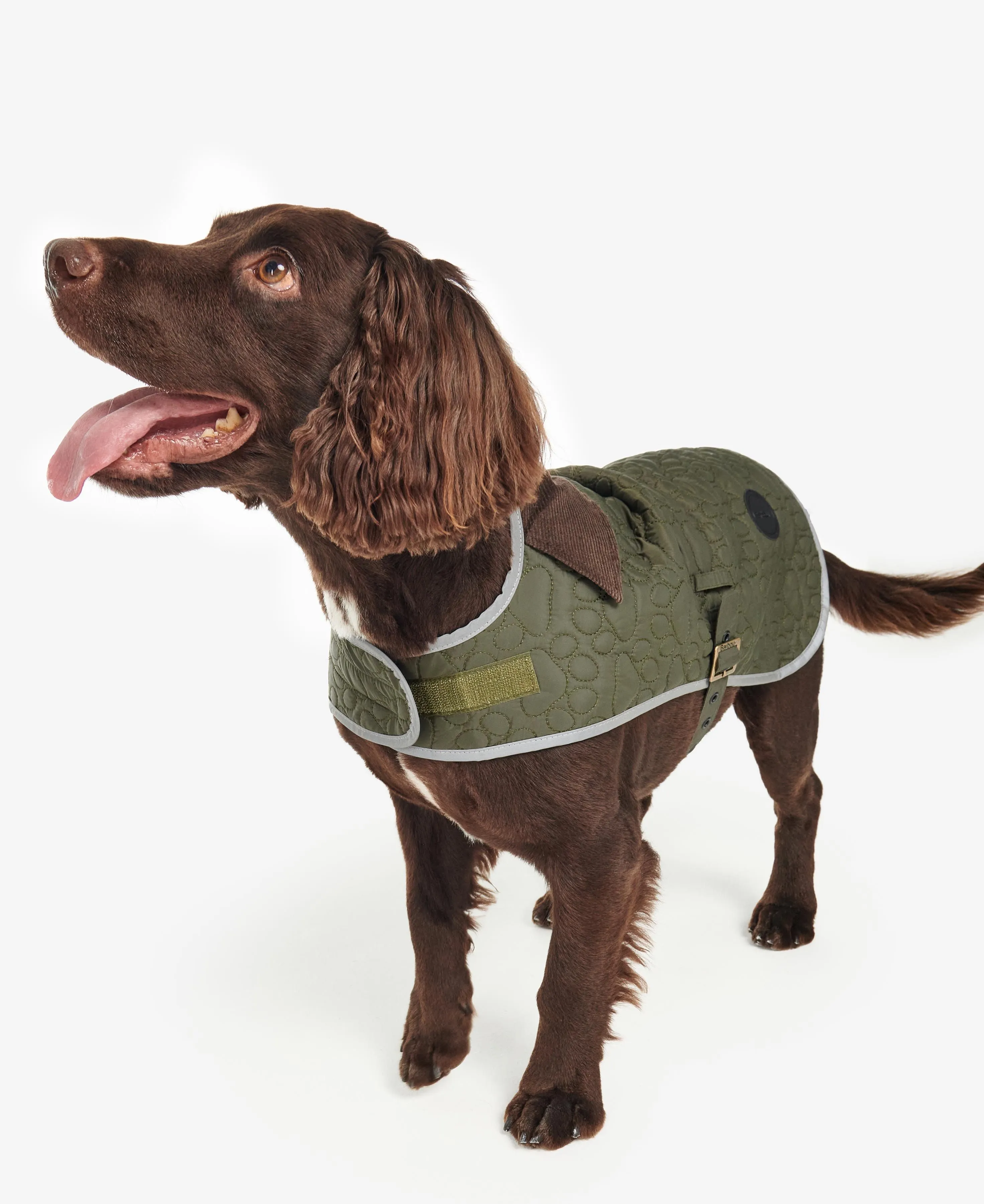 Barbour Paw-Quilted Dog Coat