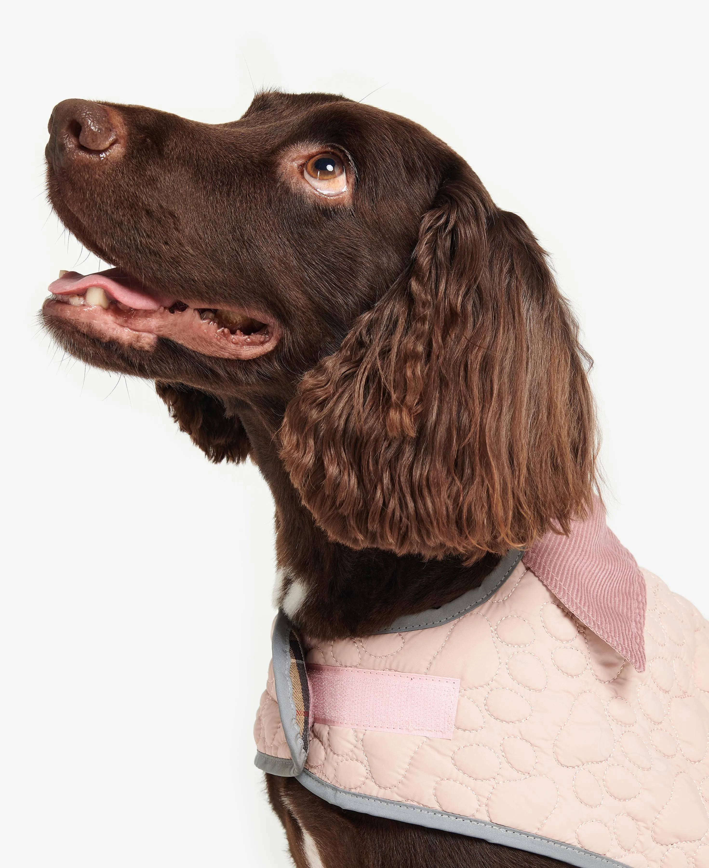 Barbour Paw-Quilted Dog Coat