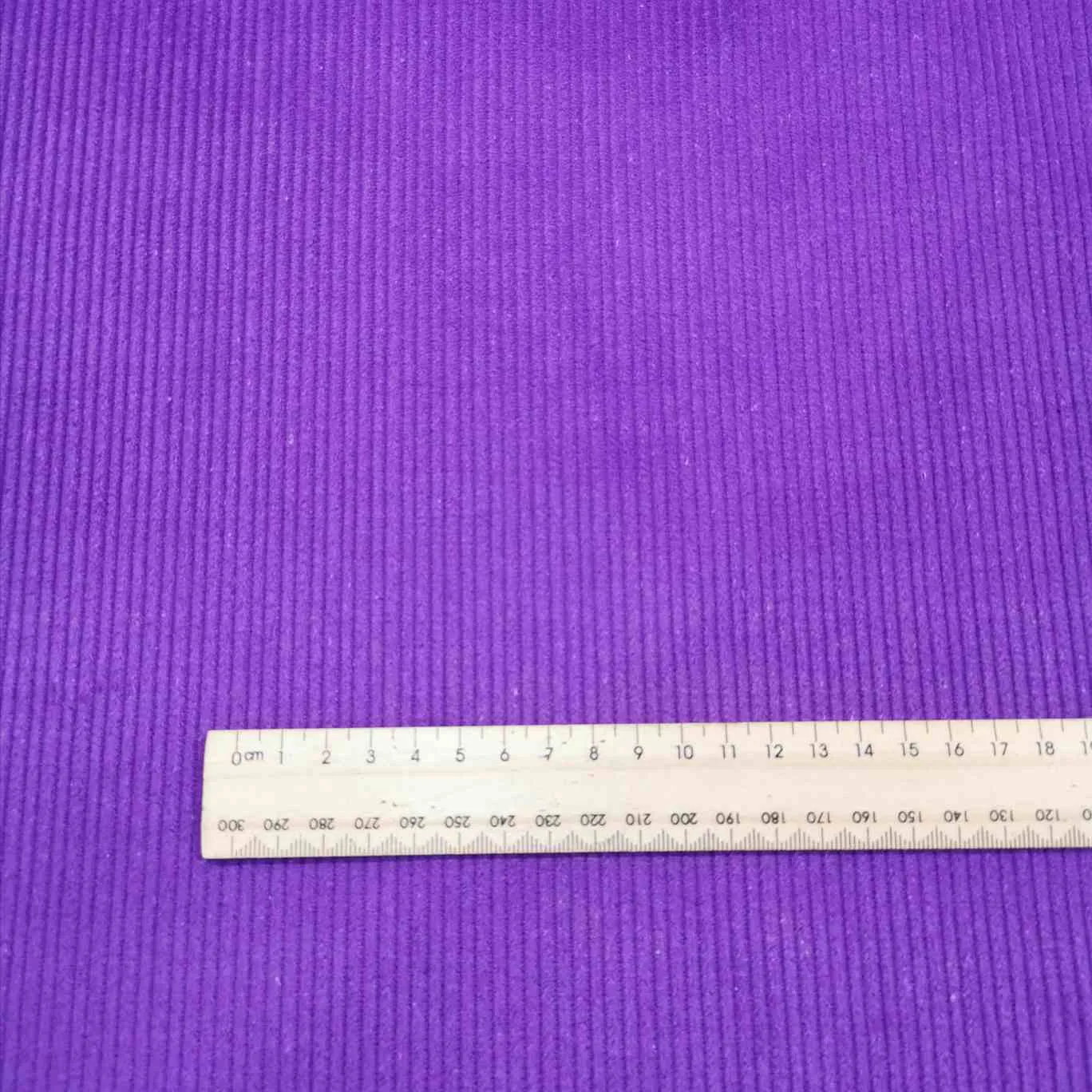 Eden Cord, Purple